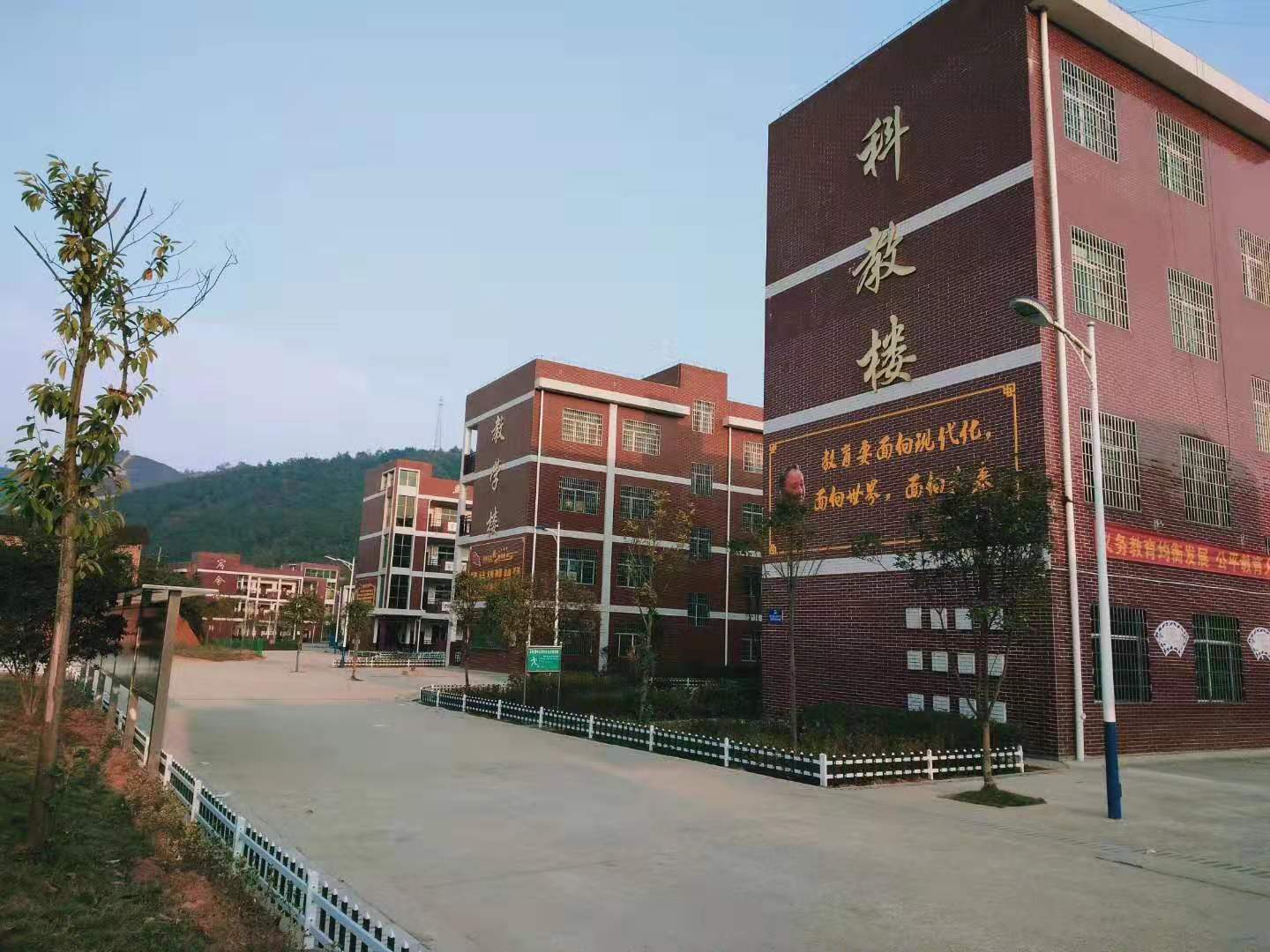 中心小学